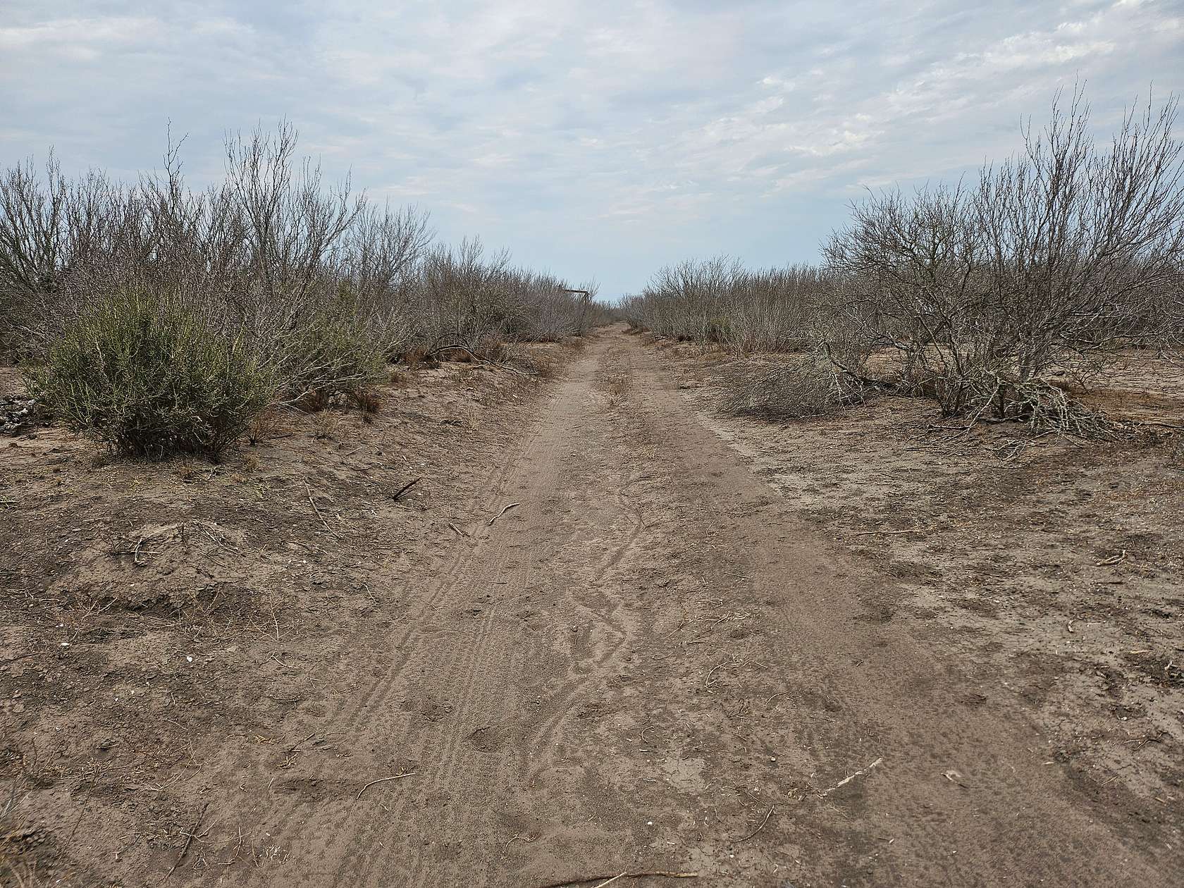 109 Acres of Land for Sale in Freer, Texas