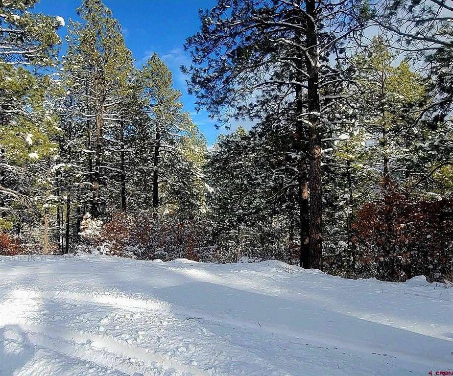 0.5 Acres of Residential Land for Sale in Pagosa Springs, Colorado