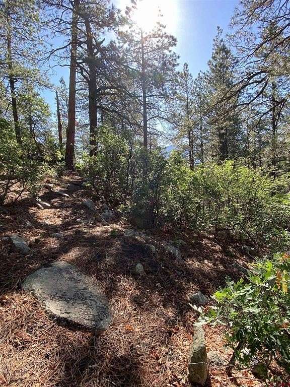 0.5 Acres of Residential Land for Sale in Pagosa Springs, Colorado