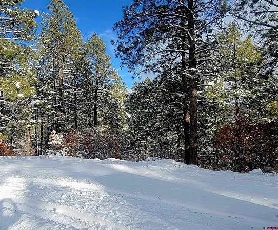0.5 Acres of Residential Land for Sale in Pagosa Springs, Colorado