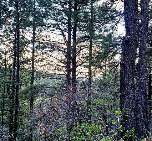 0.5 Acres of Residential Land for Sale in Pagosa Springs, Colorado