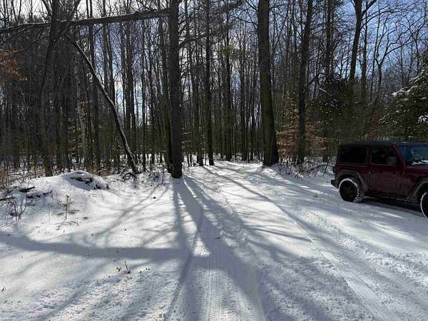 2.5 Acres of Residential Land for Sale in Vassar, Michigan