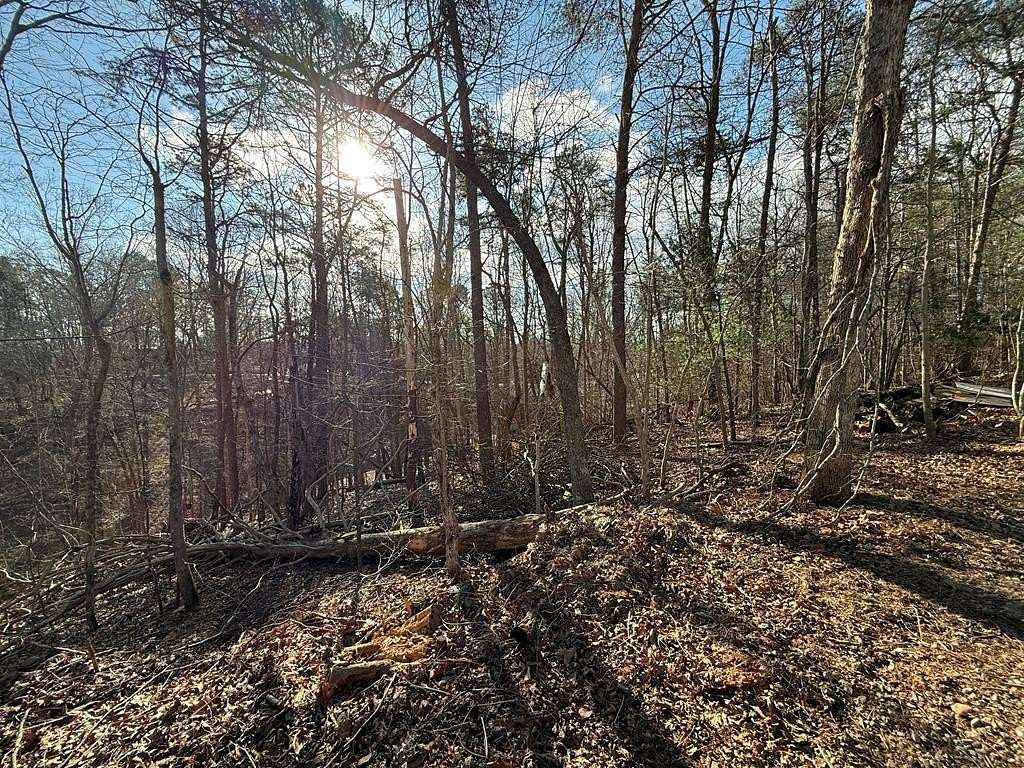 1.4 Acres of Residential Land for Sale in Ellijay, Georgia