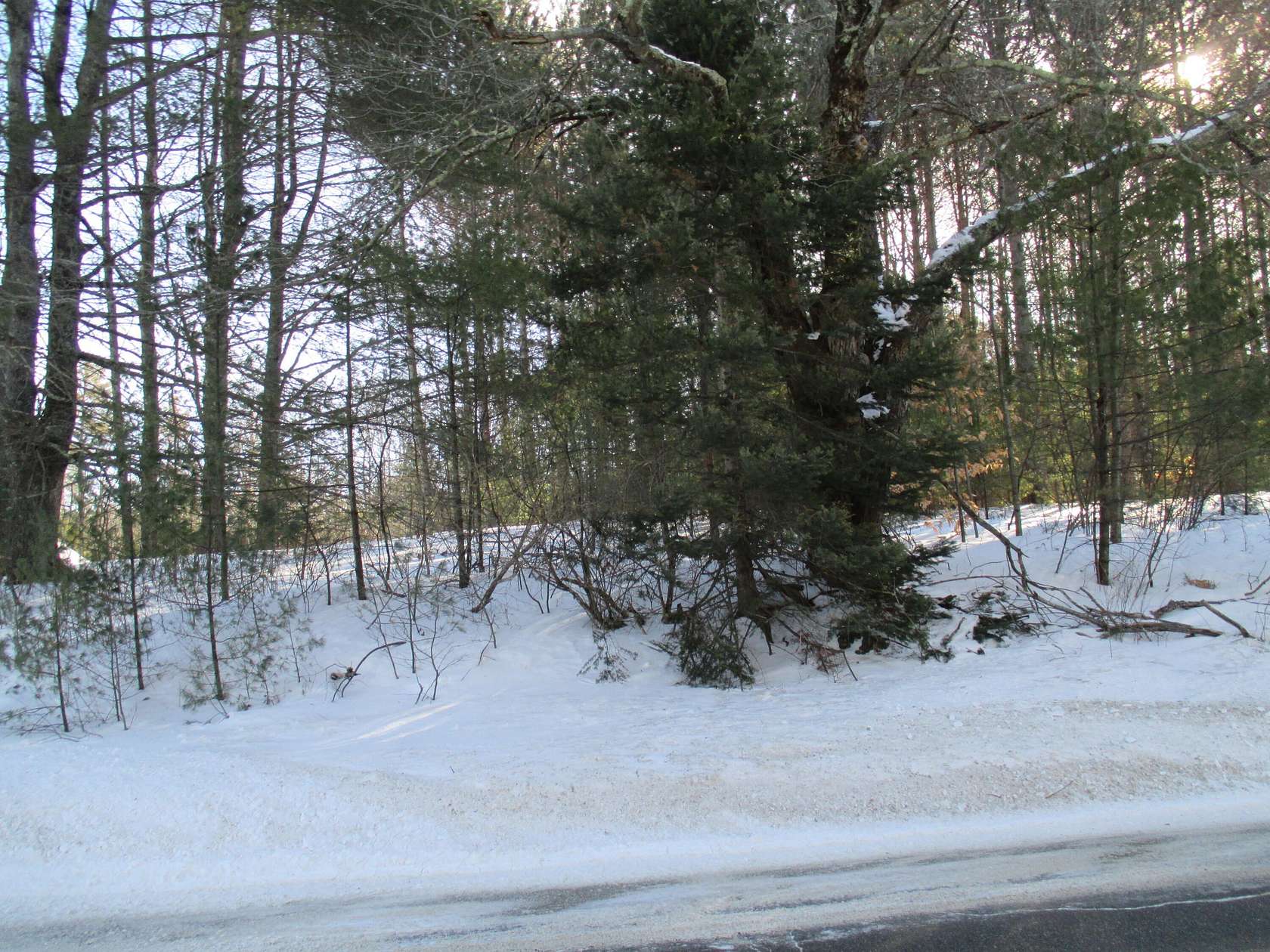 2.1 Acres of Residential Land for Sale in Poland, Maine