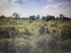 0.23 Acres of Residential Land for Sale in Lehigh Acres, Florida