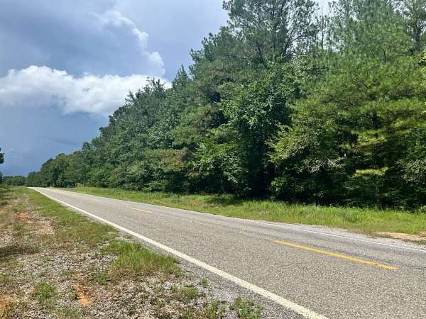 39 Acres of Recreational & Residential Land for Sale in Lawrence, Mississippi