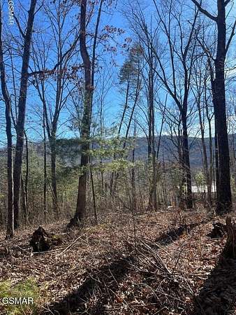 0.77 Acres of Residential Land for Sale in Cosby, Tennessee