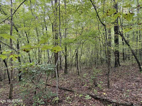 4.2 Acres of Residential Land for Sale in Monterey, Tennessee