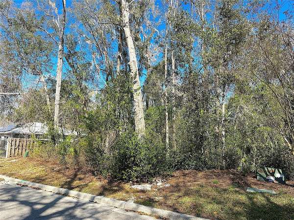 0.38 Acres of Residential Land for Sale in Gainesville, Florida