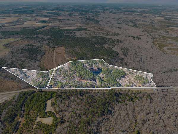 44.7 Acres of Recreational & Residential Land for Sale in Cobbtown, Georgia