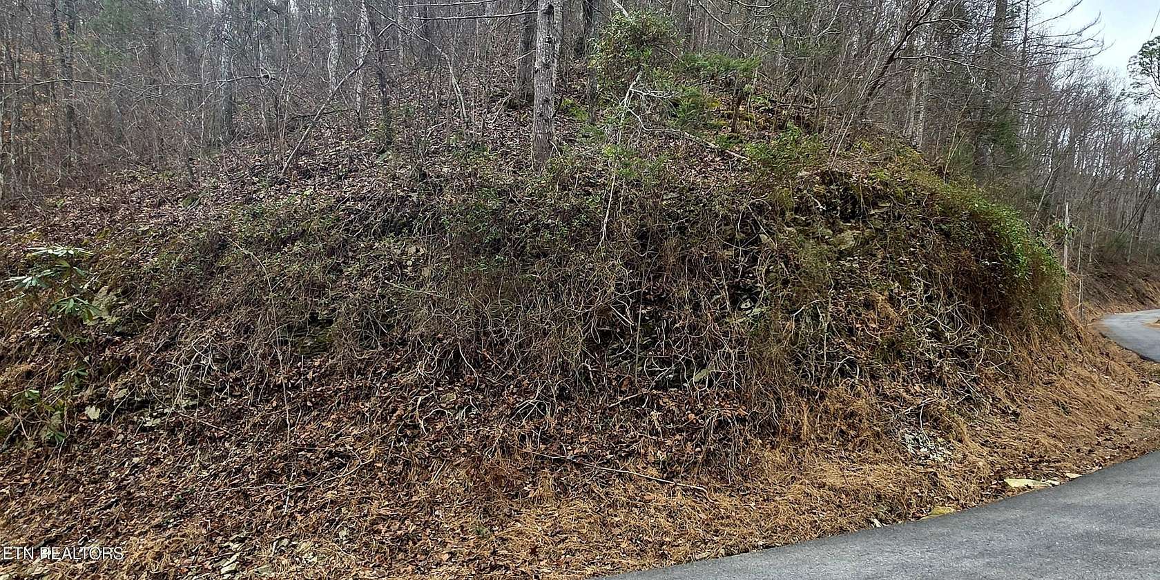 0.57 Acres of Residential Land for Sale in Sevierville, Tennessee