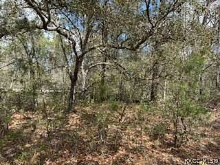 0.23 Acres of Residential Land for Sale in Inverness, Florida