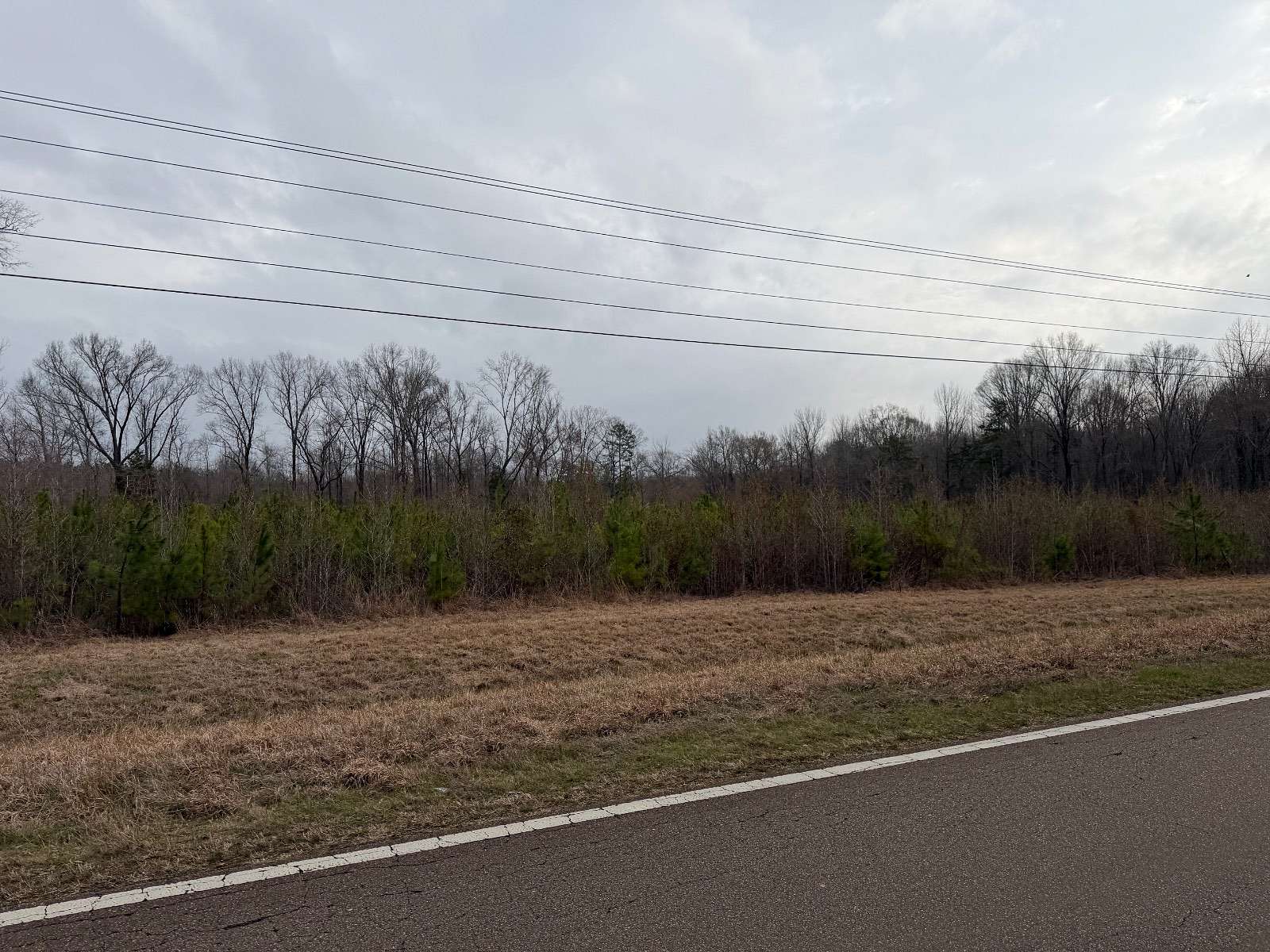 58.6 Acres of Land for Sale in Kilmichael, Mississippi