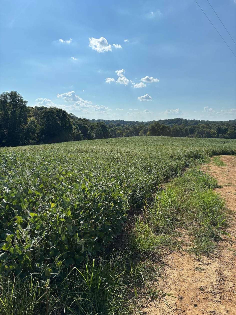 54 Acres of Recreational & Residential Land for Sale in Greensburg, Kentucky