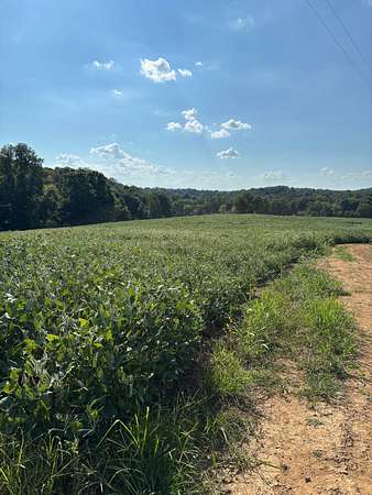 54 Acres of Recreational & Residential Land for Sale in Greensburg, Kentucky