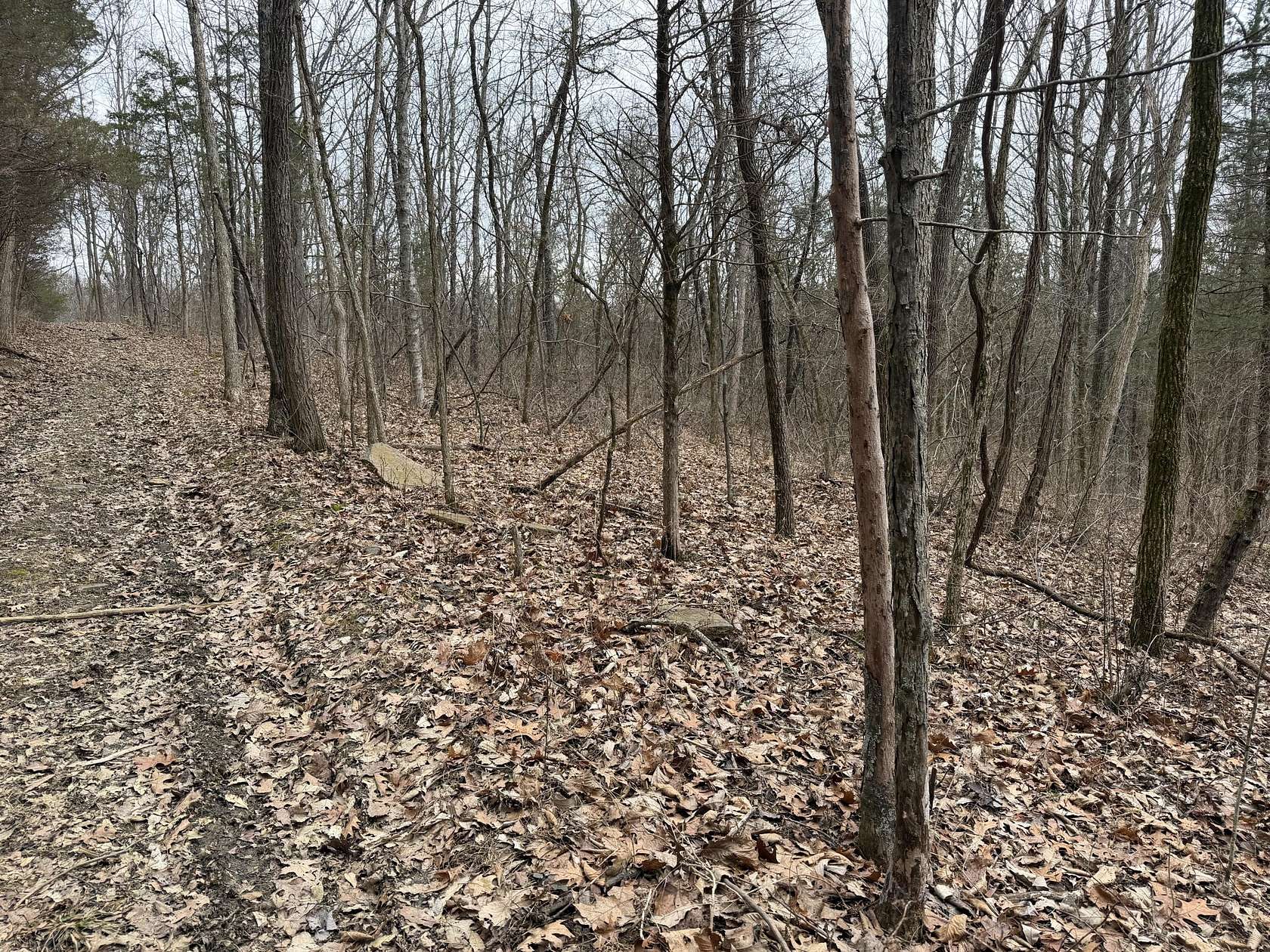 5 Acres of Land for Sale in Frankfort, Kentucky