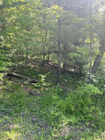 2.17 Acres of Residential Land for Sale in Lakewood, Wisconsin