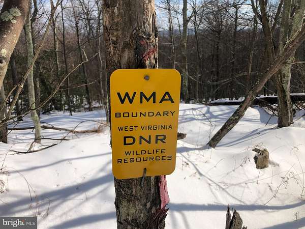 20.8 Acres of Recreational Land for Sale in Moorefield, West Virginia