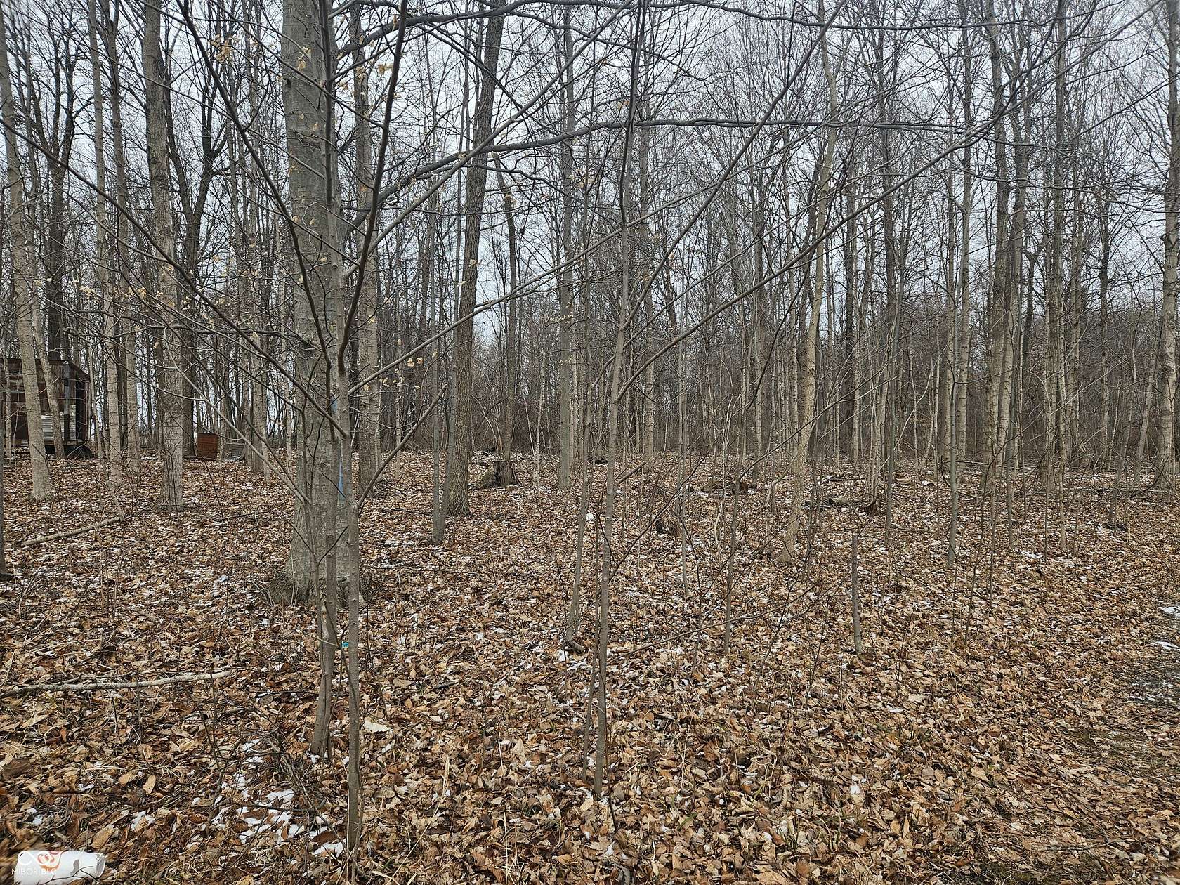 5 Acres of Agricultural Land for Sale in Tipton, Indiana