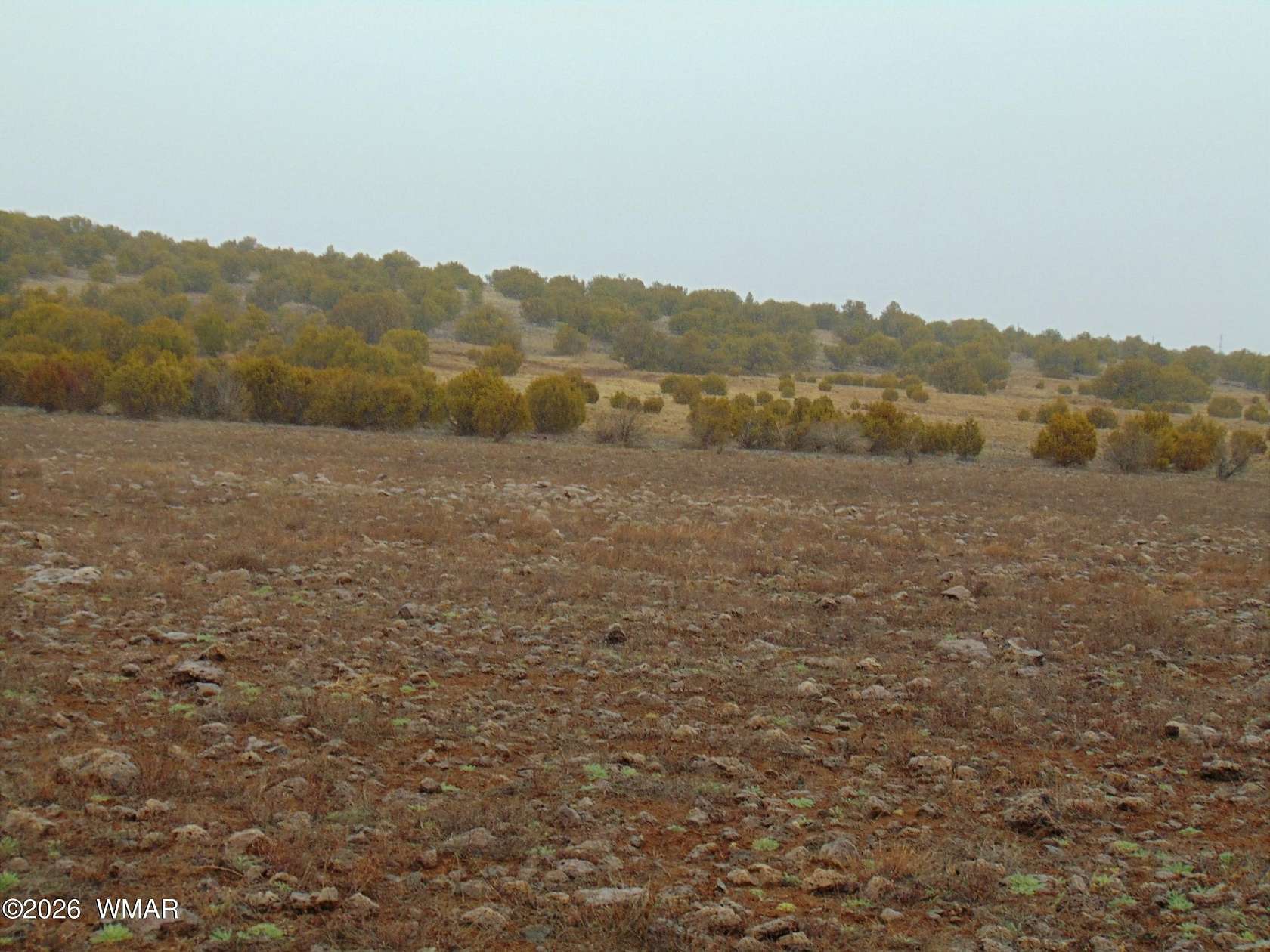 2.58 Acres of Residential Land for Sale in Concho, Arizona