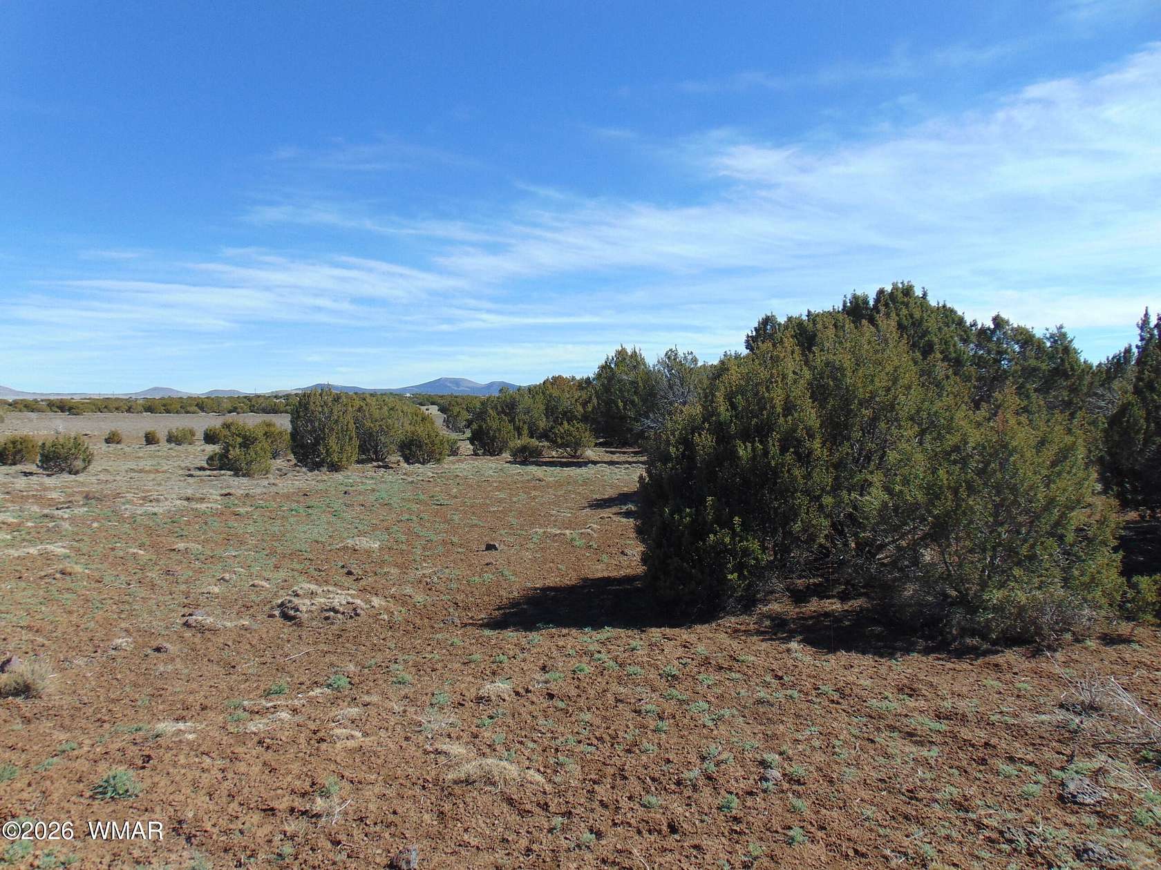 2.58 Acres of Residential Land for Sale in Concho, Arizona
