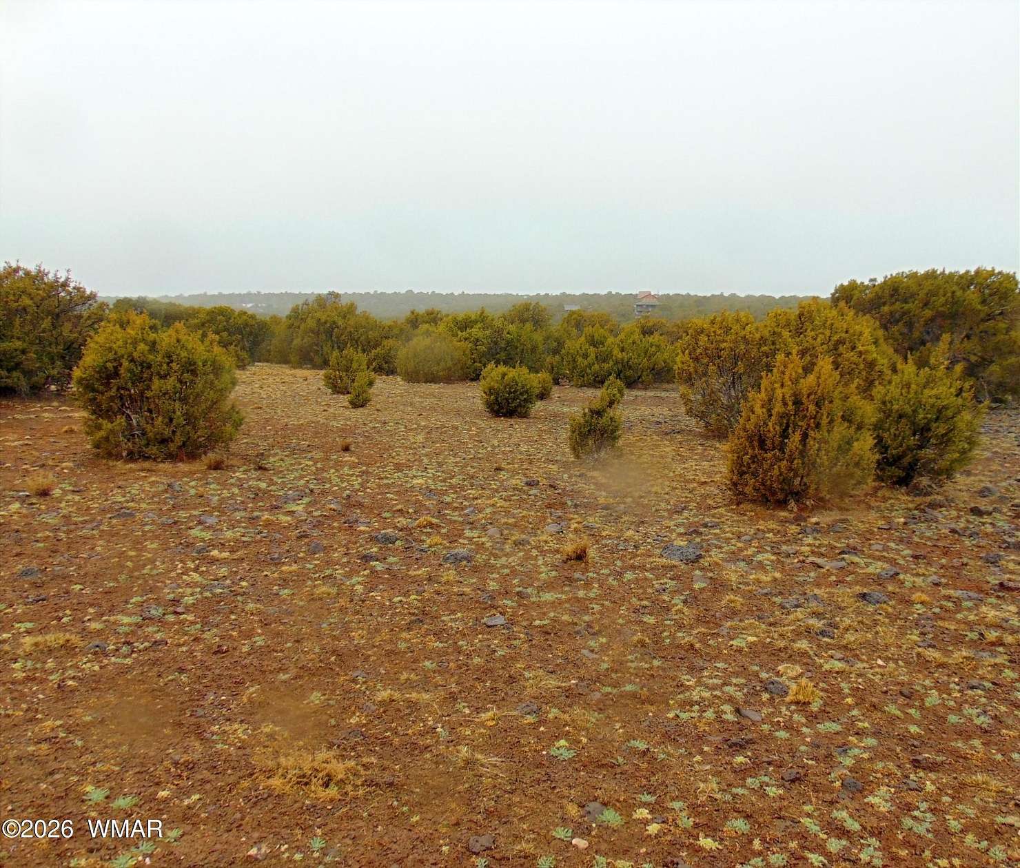 3.46 Acres of Residential Land for Sale in Concho, Arizona