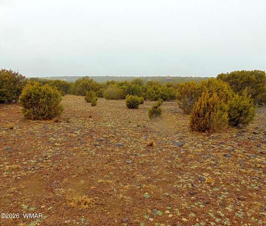 3.46 Acres of Residential Land for Sale in Concho, Arizona