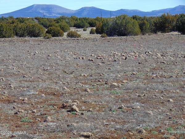 3.46 Acres of Residential Land for Sale in Concho, Arizona