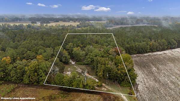 4.85 Acres of Land with Home for Sale in Neeses, South Carolina