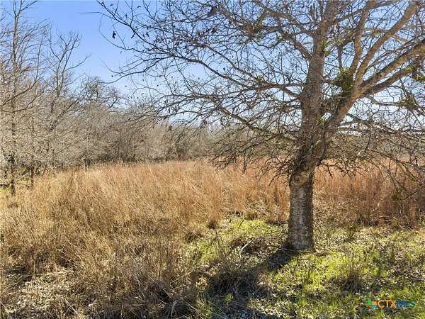 10.1 Acres of Land for Sale in Kingsbury, Texas