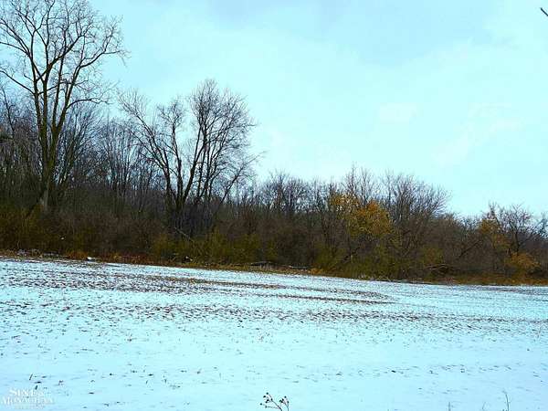 7 Acres of Land for Sale in Armada, Michigan