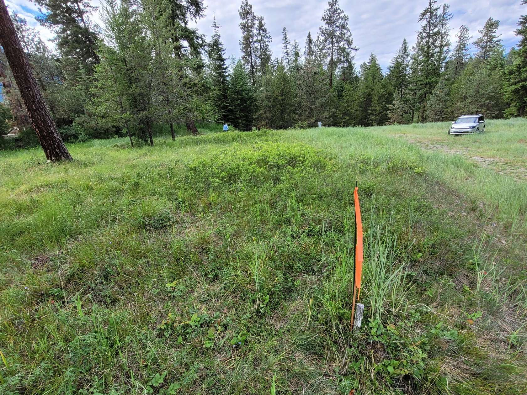0.24 Acres of Residential Land for Sale in Thompson Falls, Montana