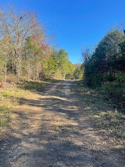 81.6 Acres of Recreational Land for Sale in Dyer, Arkansas