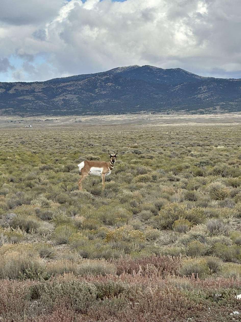 80 Acres of Land for Sale in Montello, Nevada