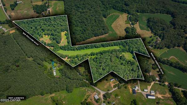 29 Acres of Land for Sale in Huntingdon, Tennessee