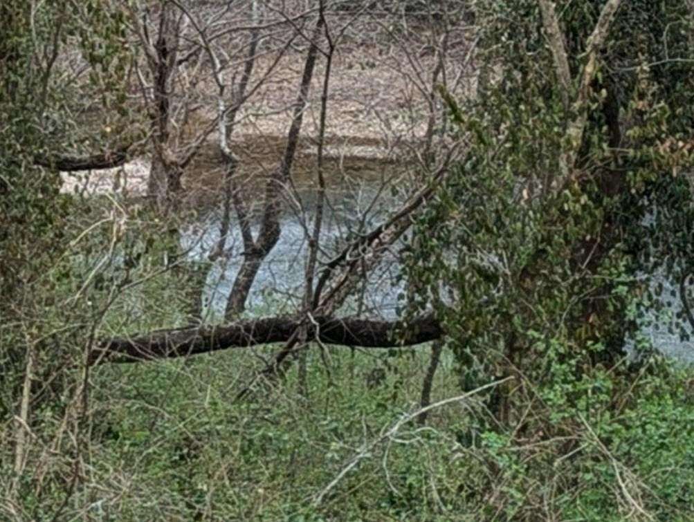 1 Acre of Land for Sale in McMinnville, Tennessee
