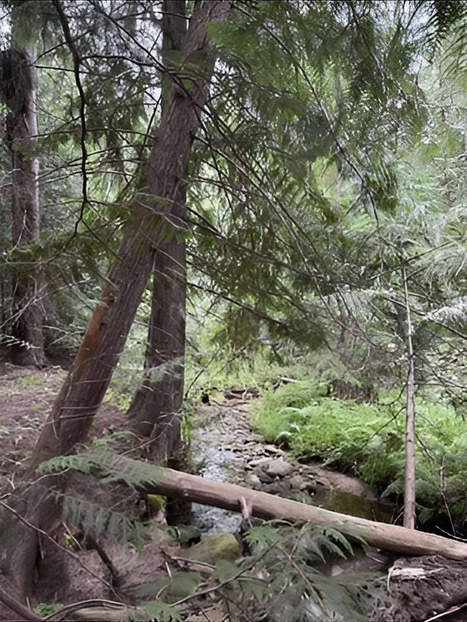 12.2 Acres of Land for Sale in Newport, Washington