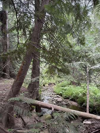 12.2 Acres of Land for Sale in Newport, Washington