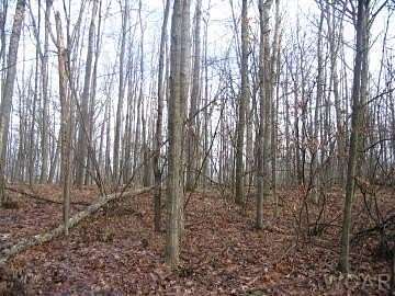 0.24 Acres of Land for Sale in Canadian Lakes, Michigan