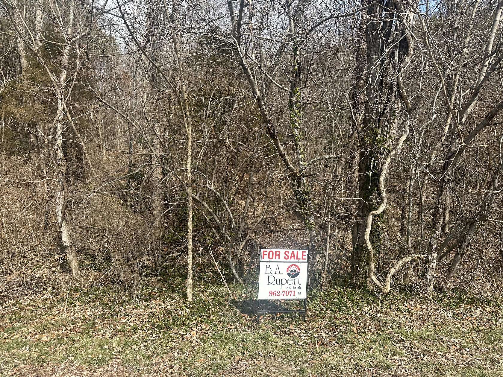 0.75 Acres of Residential Land for Sale in Covington, Virginia
