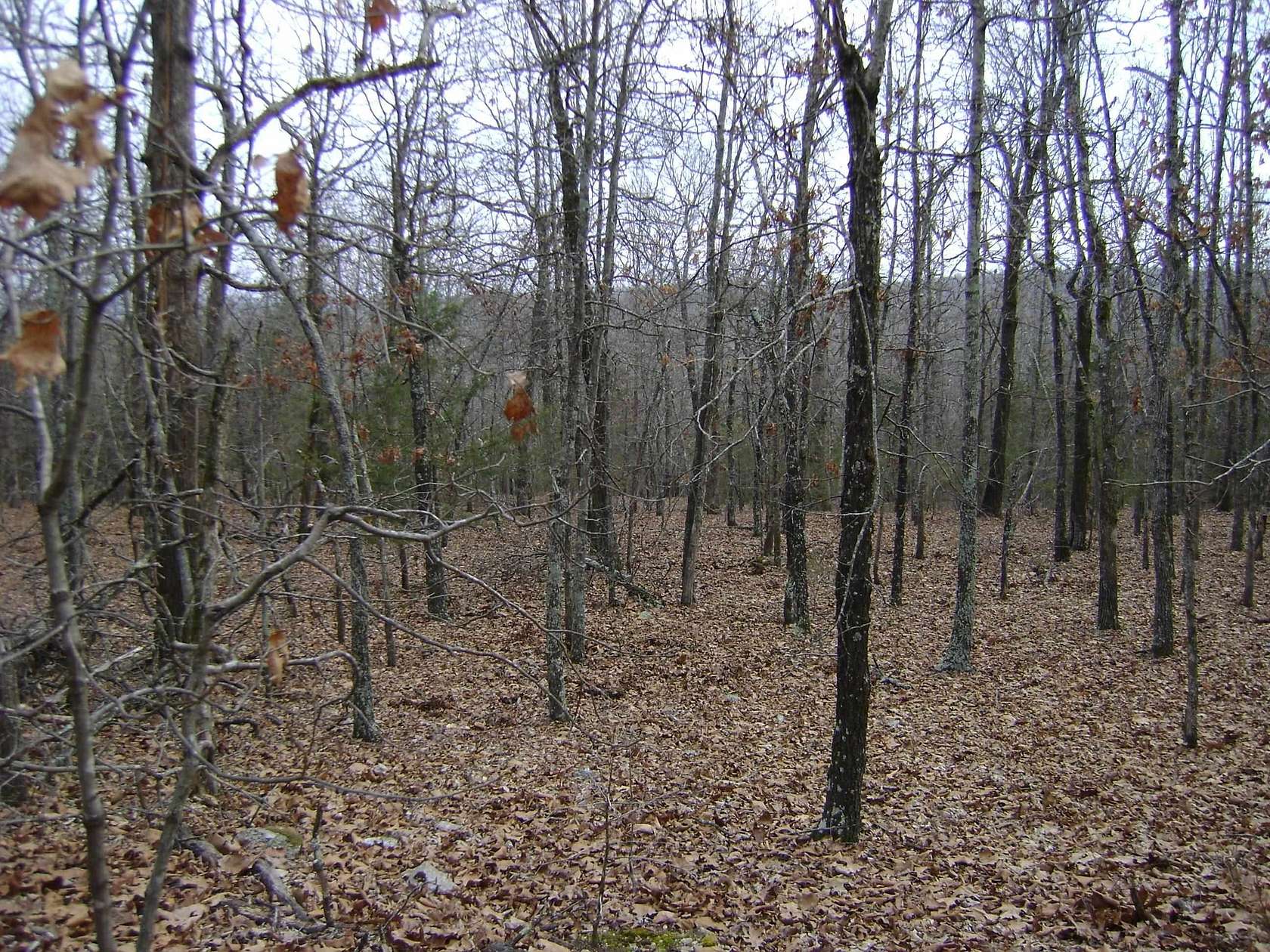 3.2 Acres of Residential Land for Sale in Ash Flat, Arkansas