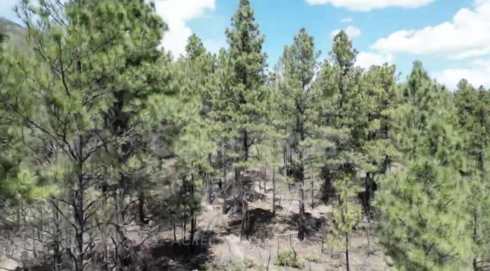 29.6 Acres of Recreational & Residential Land for Sale in Mora, New Mexico