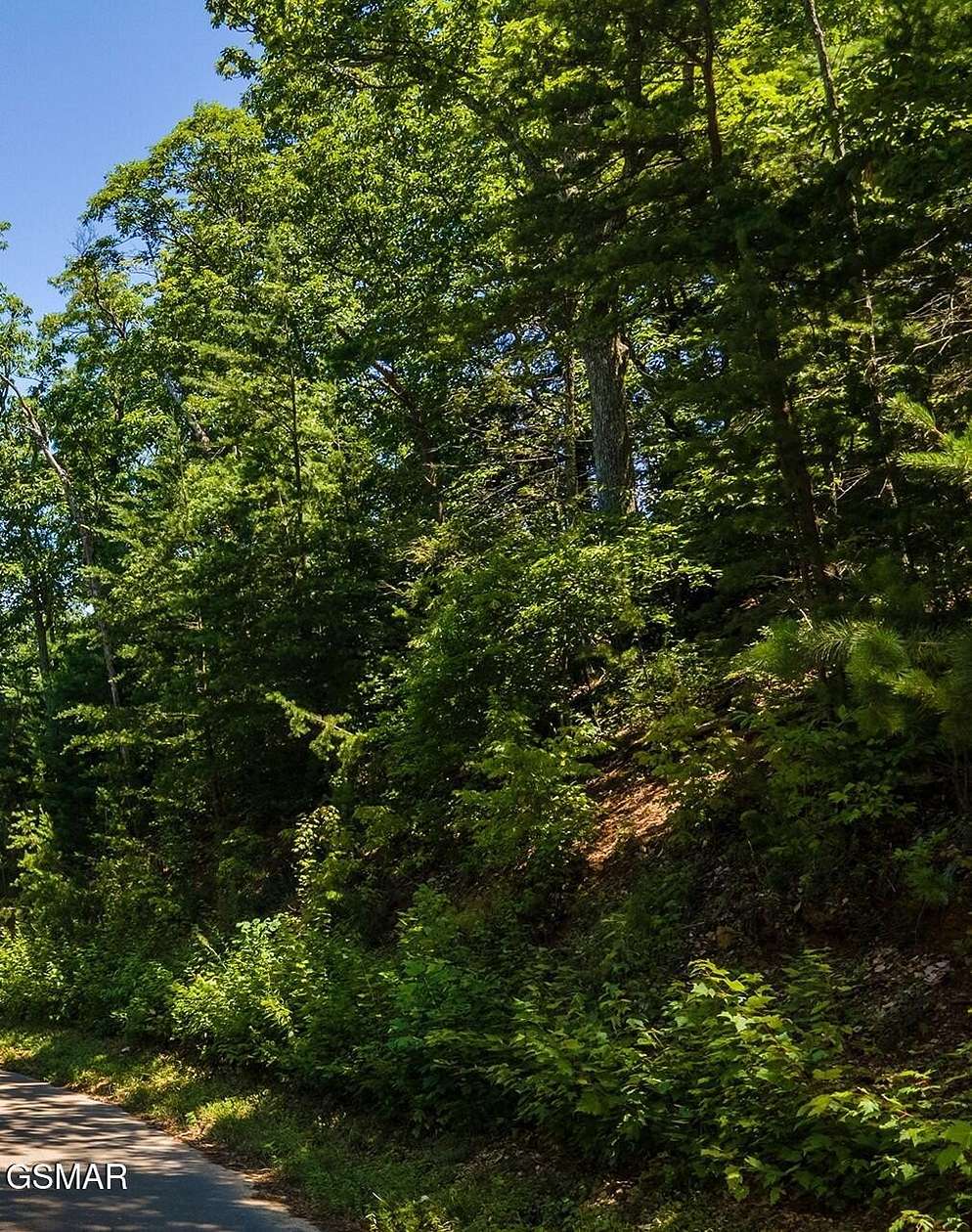 11.6 Acres of Land for Sale in Gatlinburg, Tennessee