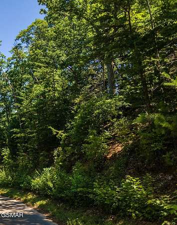 11.6 Acres of Land for Sale in Gatlinburg, Tennessee
