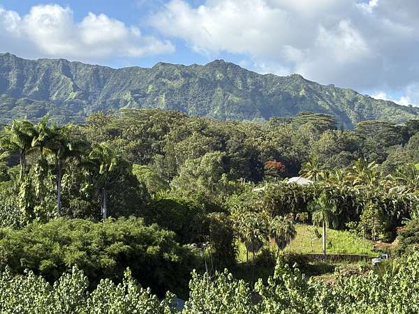 1.45 Acres of Land with Home for Sale in Kapaa, Hawaii