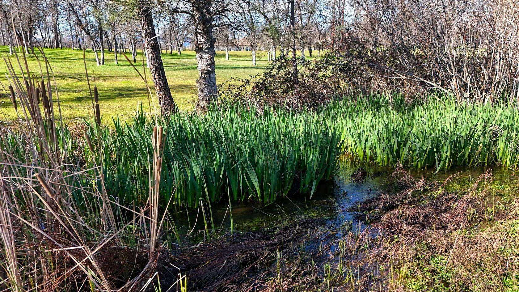 1.43 Acres of Residential Land for Sale in Redding, California