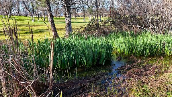 1.43 Acres of Residential Land for Sale in Redding, California