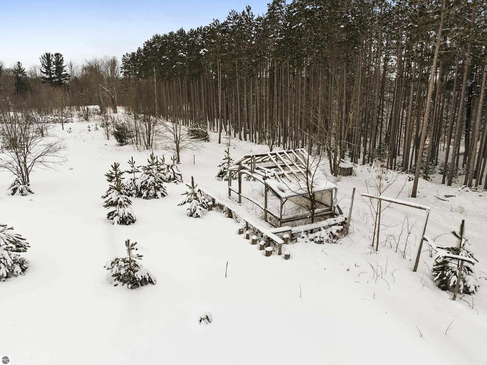 25 Acres of Recreational & Residential Land for Sale in Thompsonville, Michigan