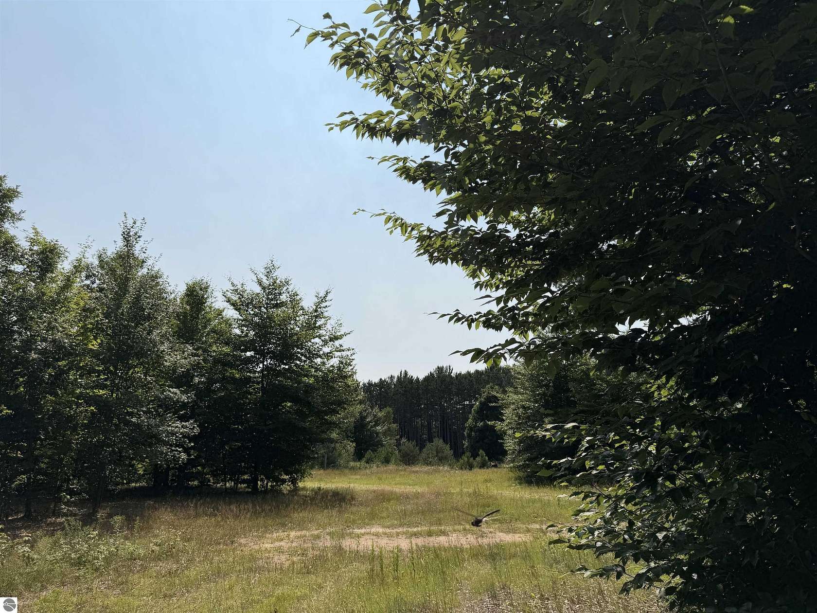 25 Acres of Recreational & Residential Land for Sale in Thompsonville, Michigan