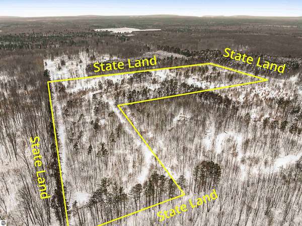 25 Acres of Recreational & Residential Land for Sale in Thompsonville, Michigan